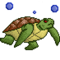 Quest turtle