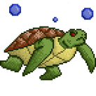 Quest turtle