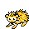 Mount Hedgehog-Golden