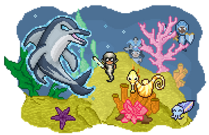 Promo dolphin quest