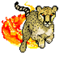 Quest cheetah