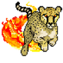 Quest cheetah