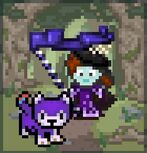 CC Page Banner.jpg