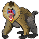 An angry mandrill