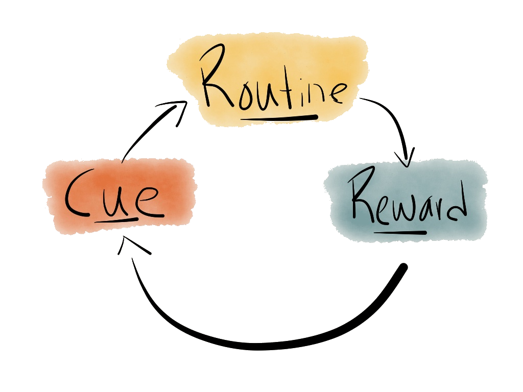 The Habit Loop Habitica Wiki Fandom