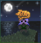 Cat on Pillow.png