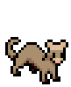Pet-Ferret-Desert.png