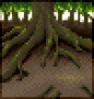 Background tree roots