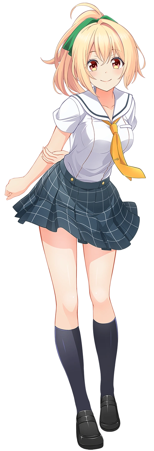 鷲棗 茶道具 翔雲堂 岡本 棗の形とは