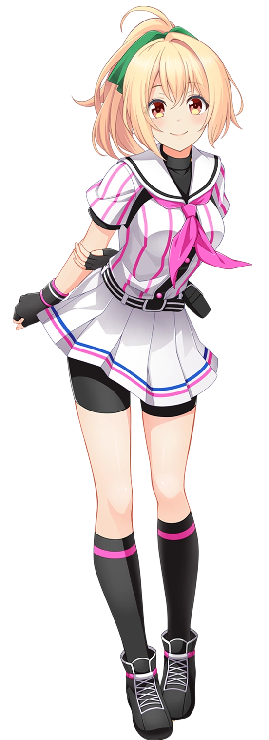 鷲棗 茶道具 翔雲堂 岡本 棗の形とは