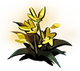 Moly Node