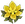 Moly