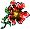 Pom Blossom.png