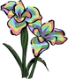 Iris Node
