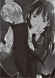 Volume 11 Image 3
