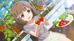 Homare Kinesaki Hai Furi Wikia Fandom