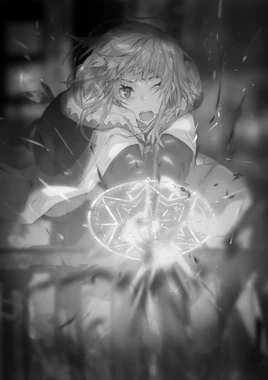 Light Novel