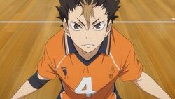 西谷 夕 ギャラリー ハイキュー Wiki Fandom 西谷 夕 ギャラリー ハイキュー Wiki Fandom