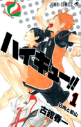 Hinata on the cover of Volume 1