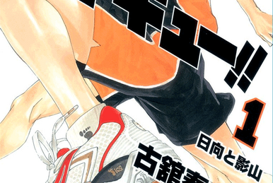 Special Feature! Betting on the Spring High Volleyball (OVA), Haikyū!!  Wiki