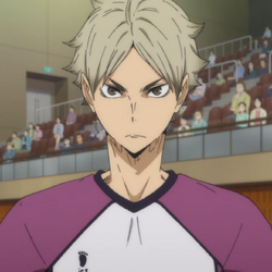 Category Shiratorizawa Academy Volleyball Club Haikyu Wiki Fandom In haikyuu fandom fans may be divided due to their team and character interests. category shiratorizawa academy