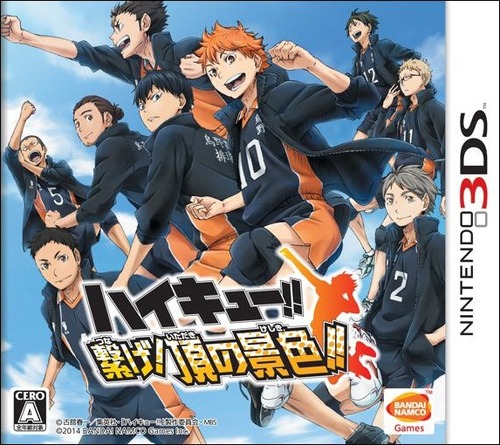 haikyuu 3ds game english release