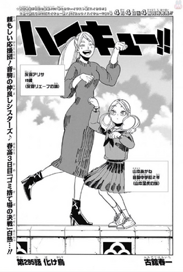 Chapter 295