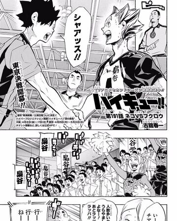 Cats Vs Owls Haikyu Wiki Fandom The way they push each other to become better and get exited when the opponent does a strong play instead of discouraged is beautiful. cats vs owls haikyu wiki fandom