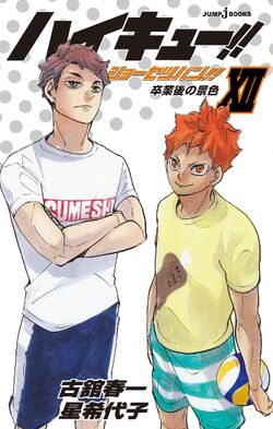 Does anyone know where I can read Haikyuu's light novel online? : r/haikyuu