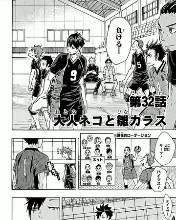 Grown Cat Vs Baby Crow Haikyu Wiki Fandom grown cat vs baby crow haikyu wiki