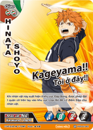 HVD-01-001