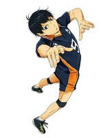 Haikyuu Anime Volleyball positions  Personagens de anime, Anime,  Personagens de anime feminino