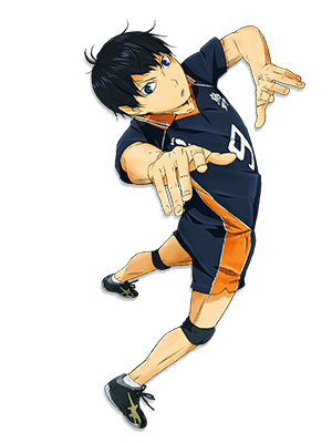 Voleibol, Wiki Haikyuu