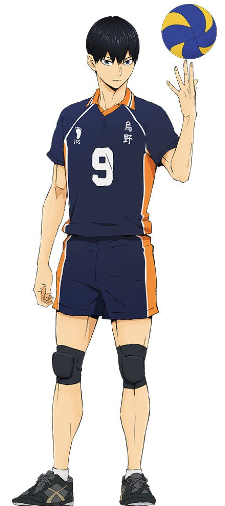 Perfil de Personagem - Hinata Shouyu de Haikyuu!!