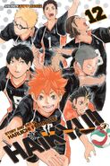 Hinata on the cover of Volume 12 (English ver.)