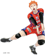 Illustration for "The Volleyball" All Star Special Match