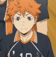 Shoyo Hinata, Wiki Haikyuu