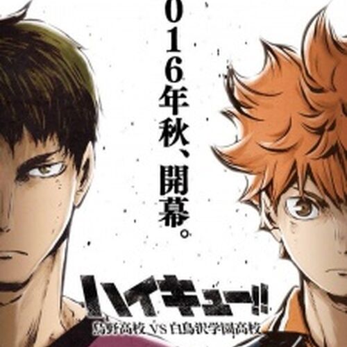 10 Things You Didnt Know About Anime Show Haikyuu
