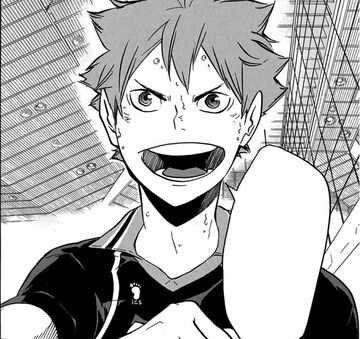 Shoyo Hinata, Wiki Haikyuu