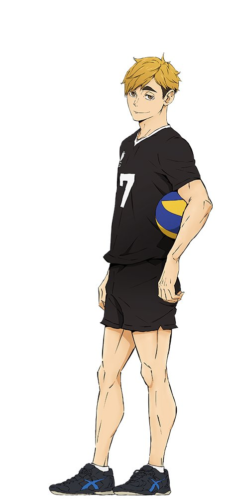 Posições, Wiki Haikyuu