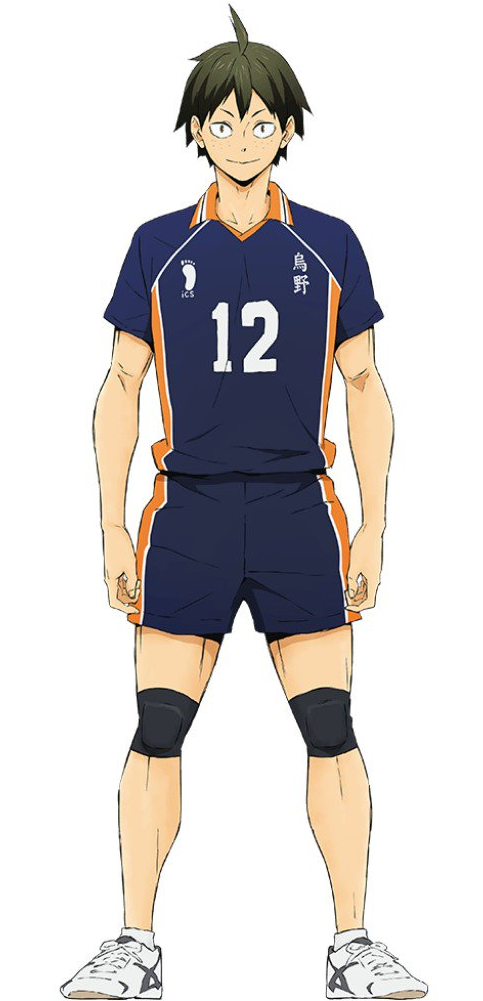 Tadashi Yamaguchi, Wiki Haikyuu