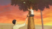 Hinata climbs a tree to retrieve the ball Kageyama hit.