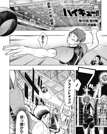 Snakes Vs Cats Haikyu Wiki Fandom 0 watchers399 page views0 deviations. snakes vs cats haikyu wiki fandom
