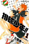 Volleyball Boy 1 cover