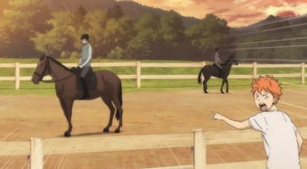 Shiratorizawa (horse)
