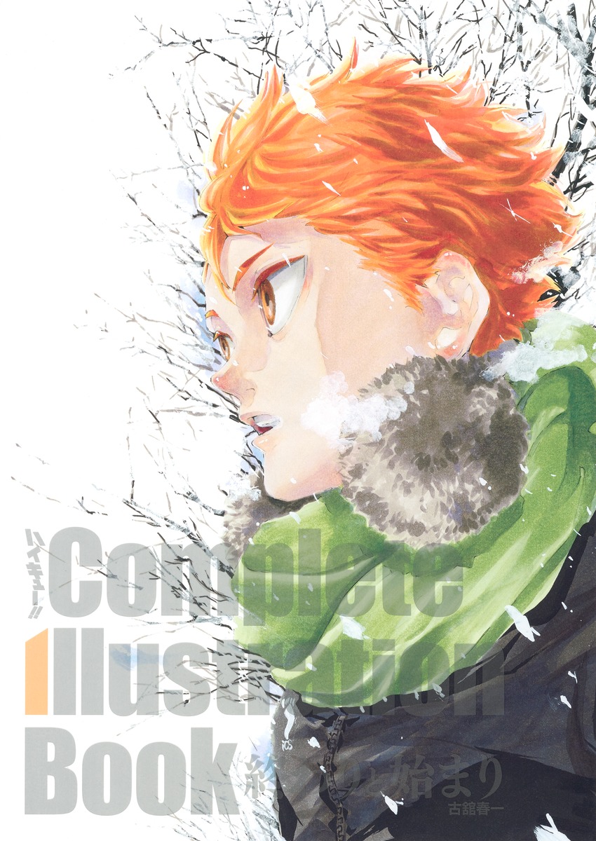 Download Haikyu Complete Illustration Book Endings And Beginnings Haikyu Wiki Fandom