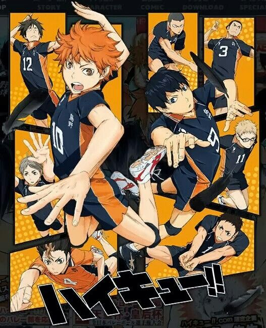 Haikyū!! Wiki  Haikyuu, Haikyuu manga, Haikyuu anime