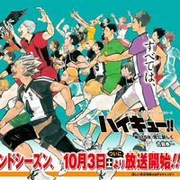 Haikyuu Wiki Fandom The story follows shōyō hinata. haikyuu wiki fandom
