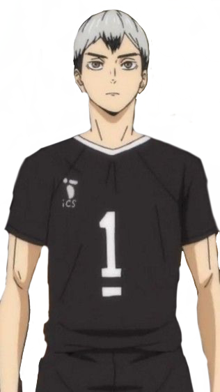 Haikyuu!!: 10 Main Characters and Their Positions In Volleyball, Explained