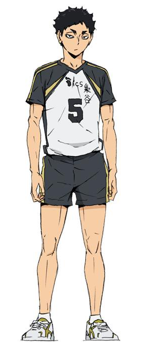 Anime haikyuu bermuda alta escola de vôlei club, uniforme feminino para  treino, uniforme esportivo